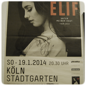 elif-tourposter