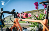 Artikelbild zeigt das Fahrrad in Nahaufnahme mit Tulpen und dem Berg des Niederwalddenkmals im Hintergrund in Bingen.
