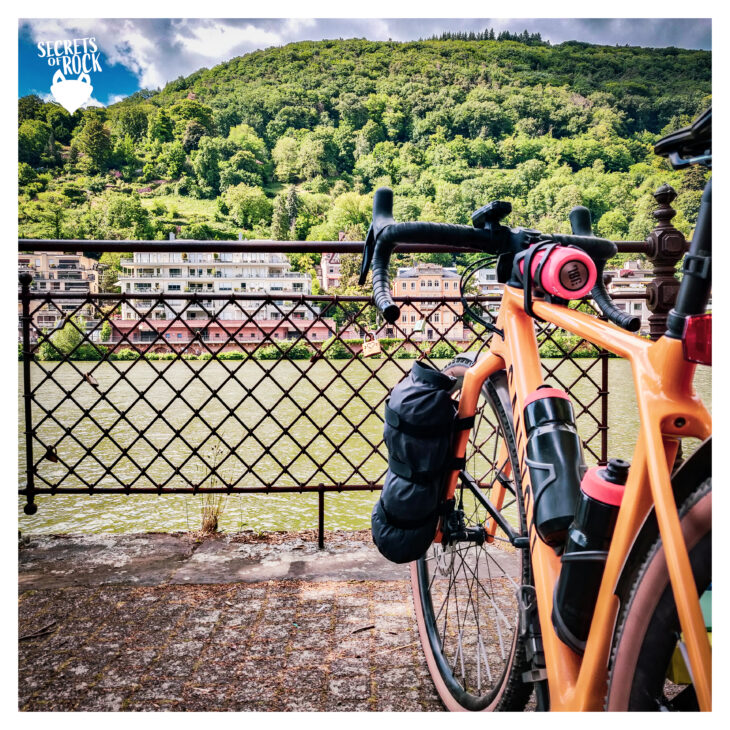 Foto mit Blick auf den Neckar. Rechts im Bild ist mein Fahrrad zu sehen und vor uns ein Berg mit Bäumen bewachsen.